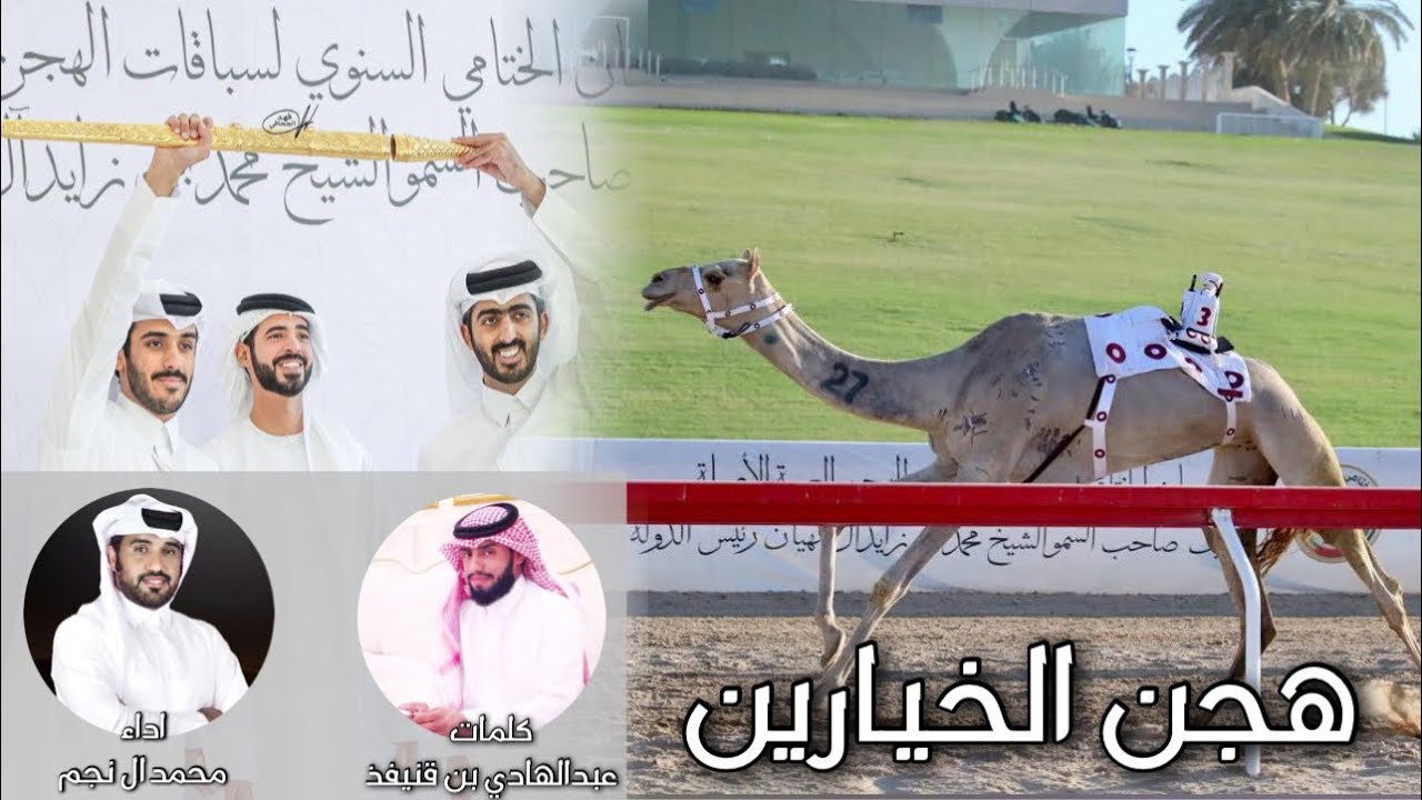 هجن الخيارين || كلمات عبدالهادي بن قنيفذ || اداء محمد ال نجم