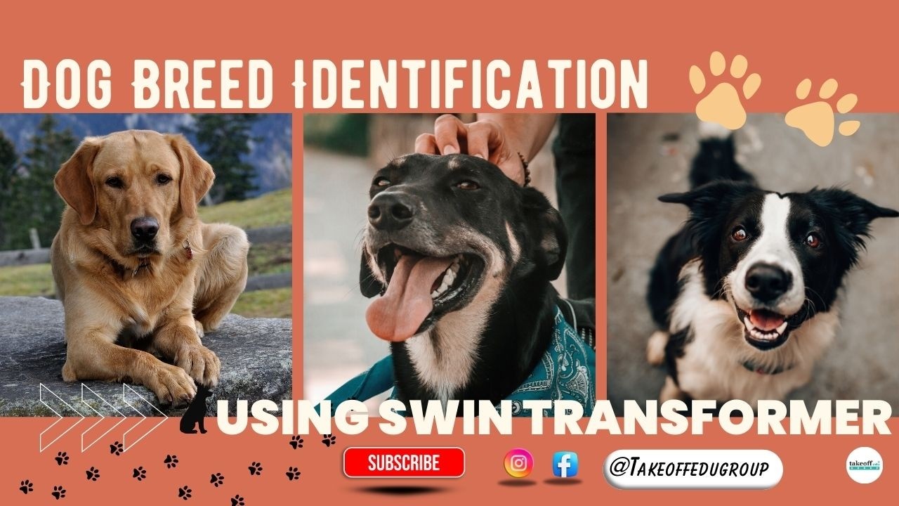 Идентификация породы собаки с помощью Swin Transformer 🐶 | Искусственный интеллект нового поколен...