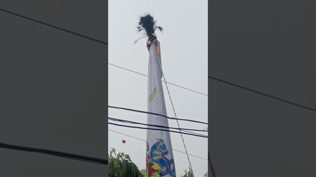 पिलानी से सूरजगढ़ श्याम दरबार  निशान उत्सव 🚩🙏