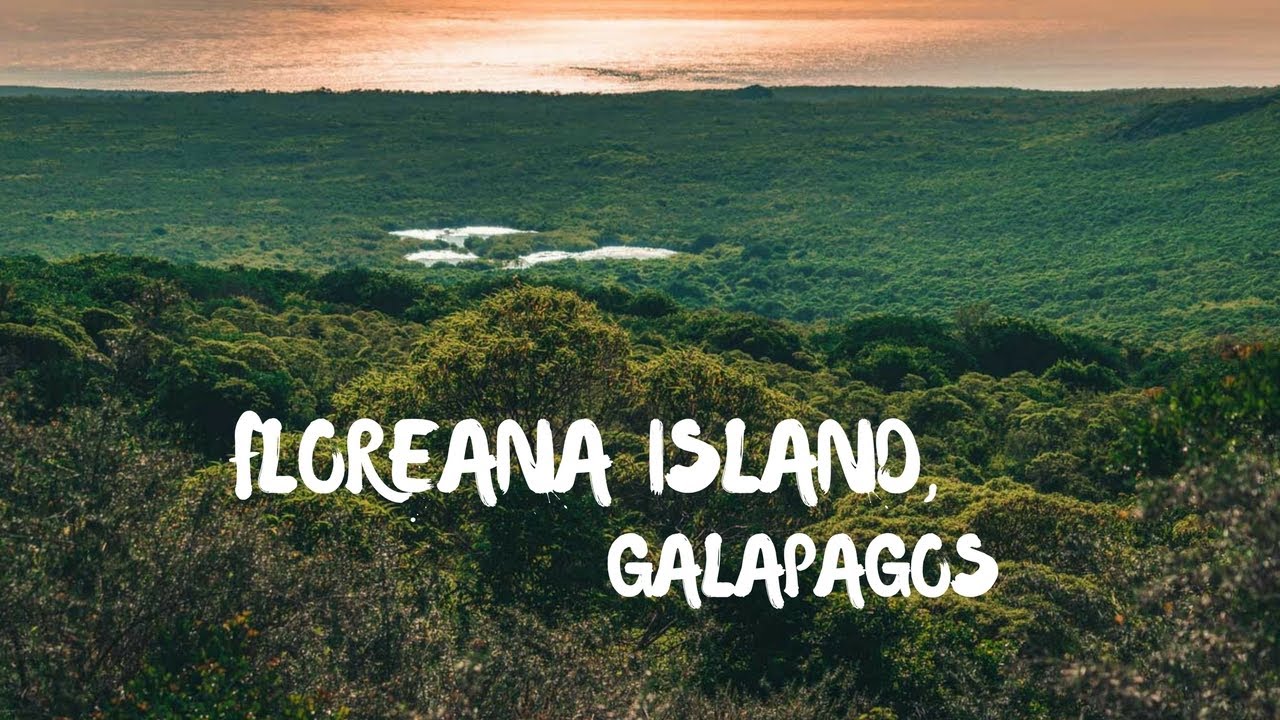 Visiting Floreana Island in the Galapagos, Ecuador