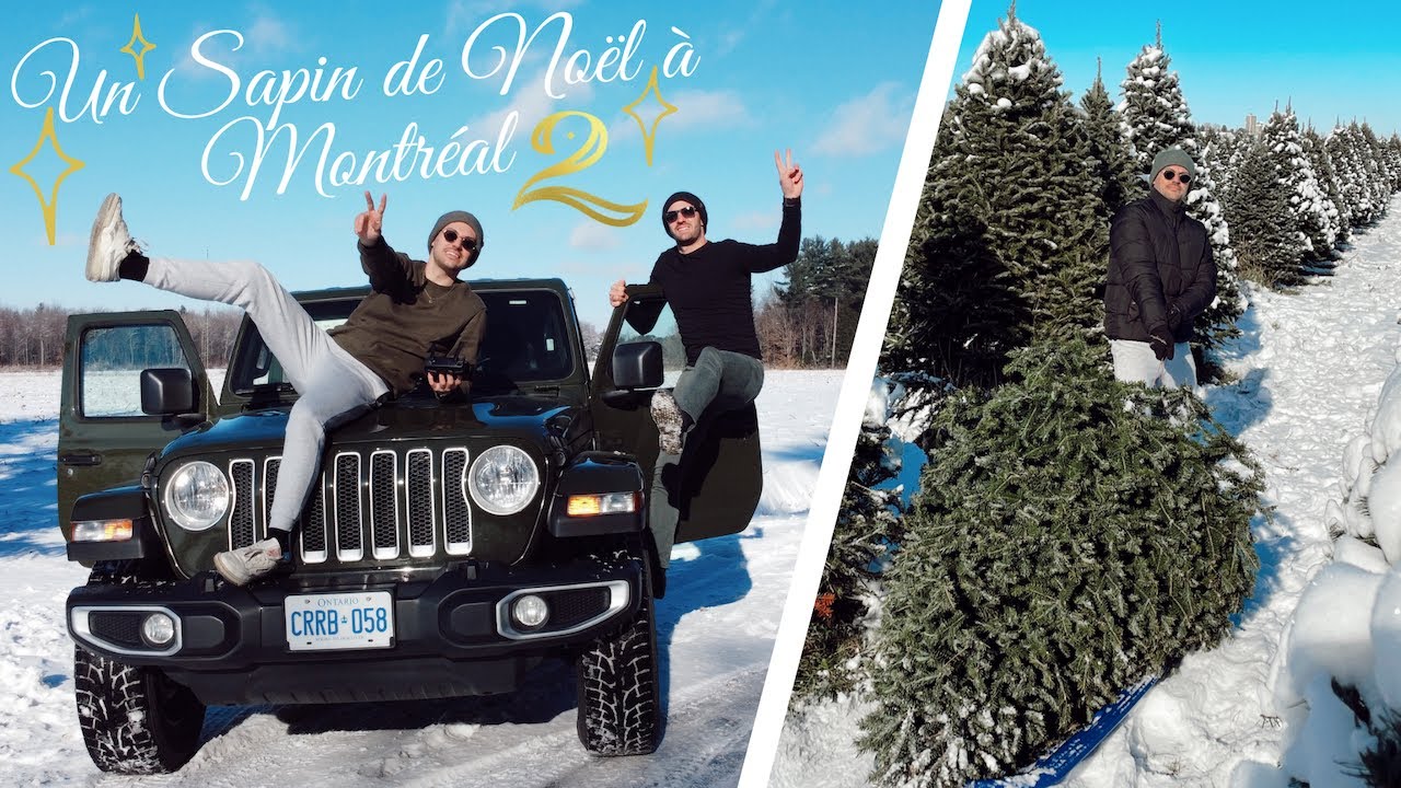 VLOG MONTR&Eacute;AL | C'EST LE MOMENT DE D&Eacute;CORER LE SAPIN DE NO&Euml;L + UPDATE D&Eacute;M&Eacute;NAGEMENT D'APPARTEMENT
