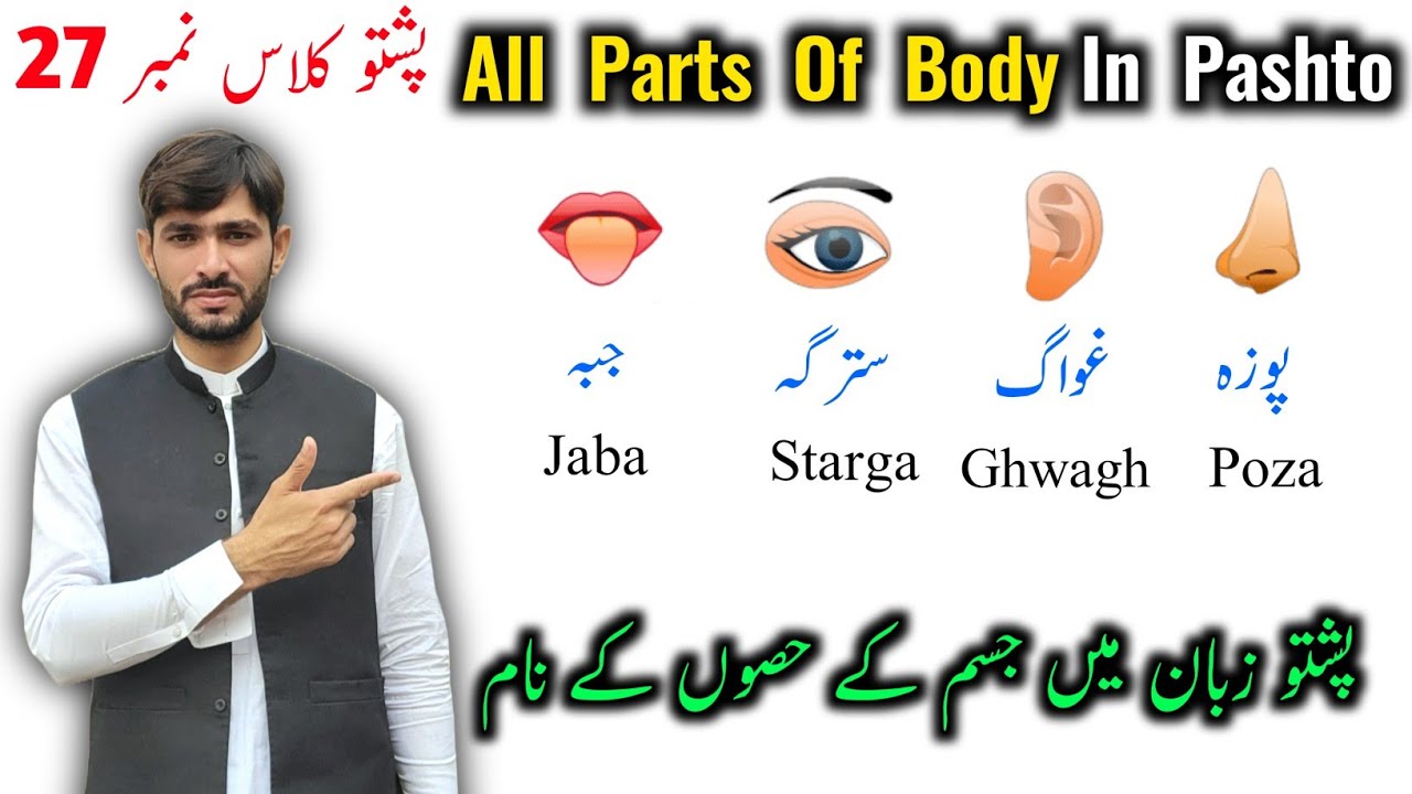 Pashto Class 27 | Learn All Parts Of Body Name In Pashto Language | Body Parts in Pashto Urdu