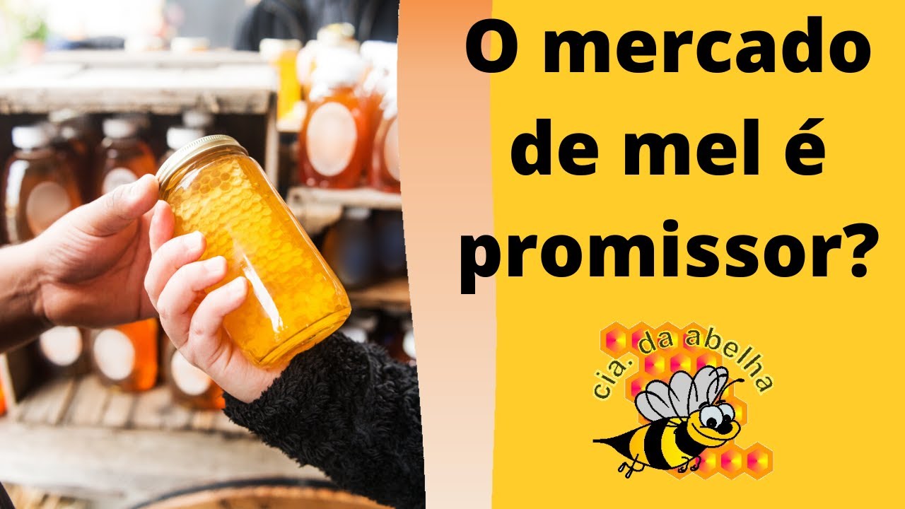 O MERCADO DE MEL &Eacute; PROMISSOR?