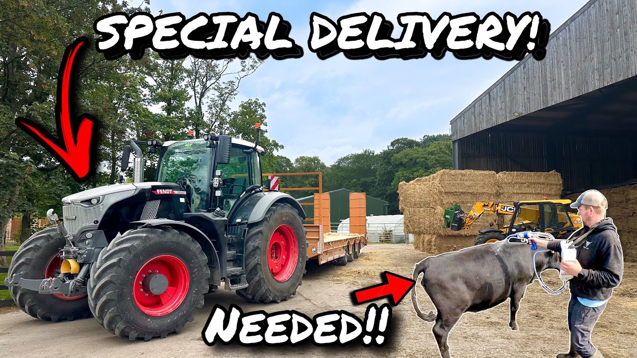 PREVENTION IS BETTER THAN CURE!... NEVER SAY NO TO A LOAD!