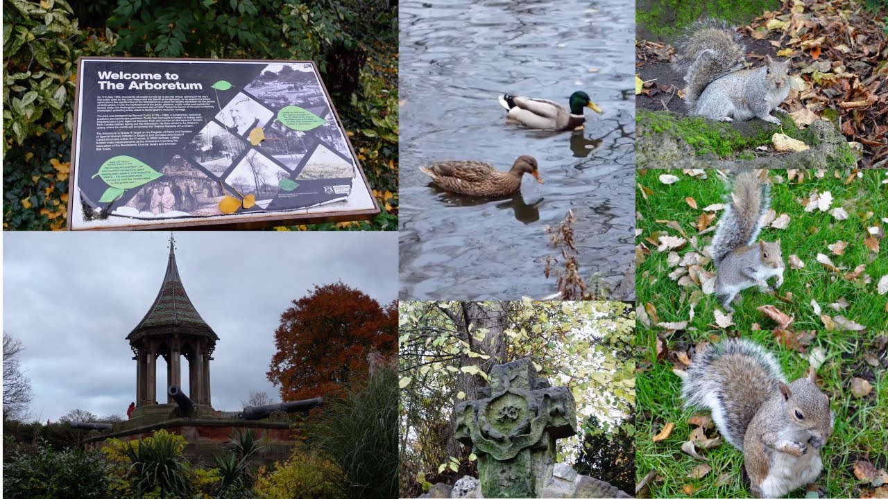 Walk through Nottingham Arboretum park | Throwback to last year | Autumn 2024