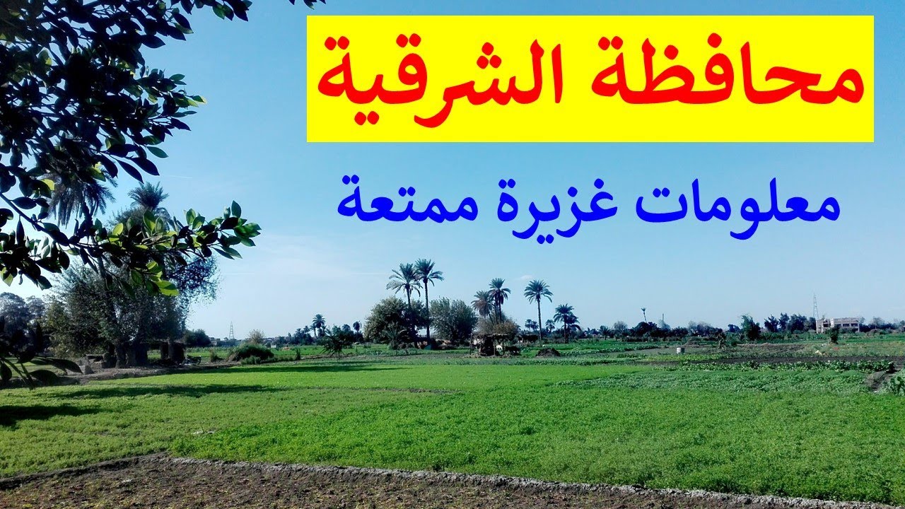 اعرف محافظة الشرقية و الزقازيق و اقتراح تقسيم محافظة الشرقية