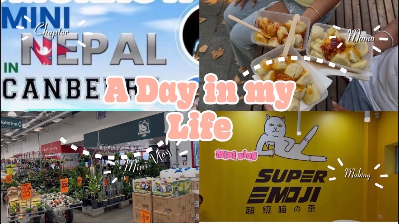 A day in my life | multicultural festival || mini vlog || living in Canberra 