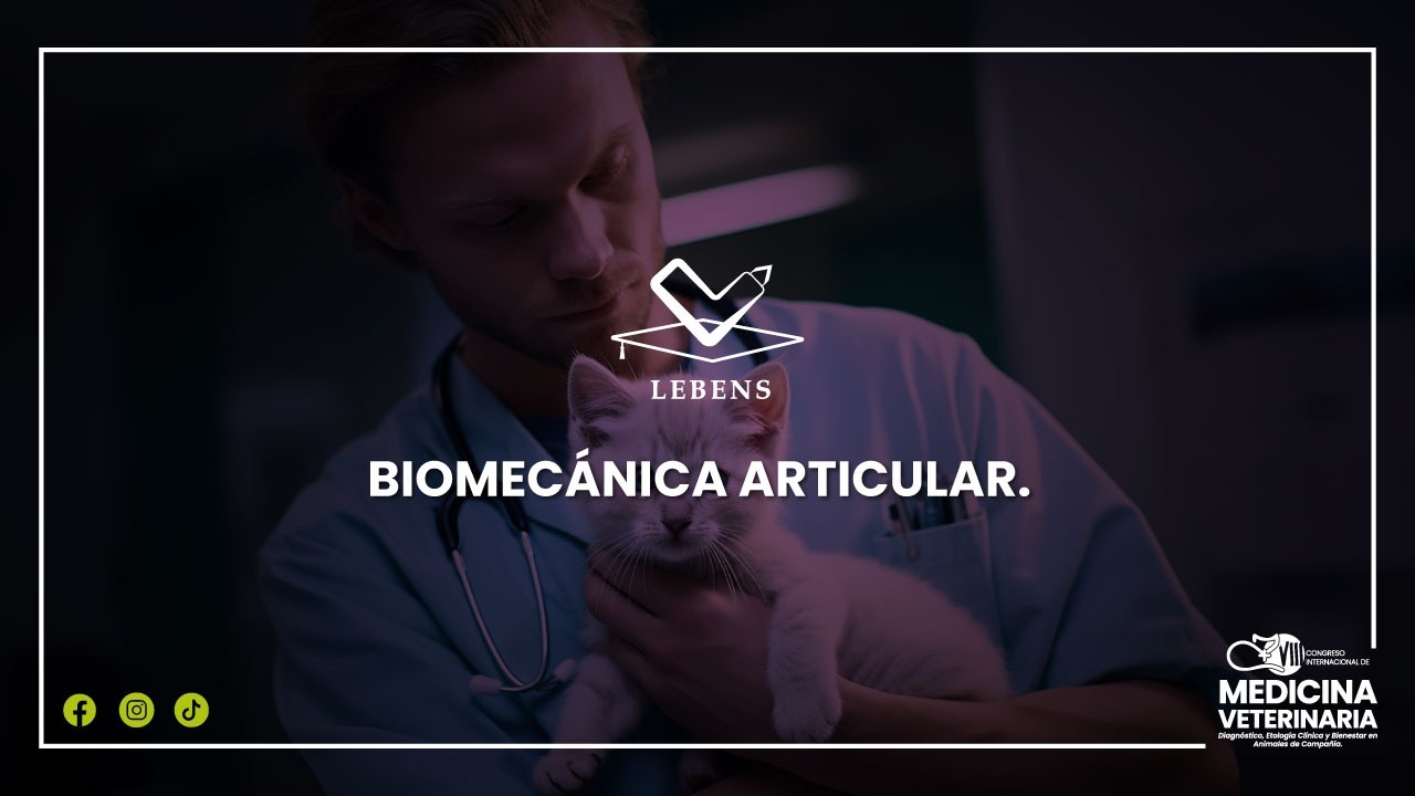 BIOMECÁNICA ARTICULAR.