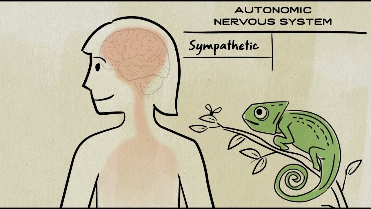 Citizen Brain: 
