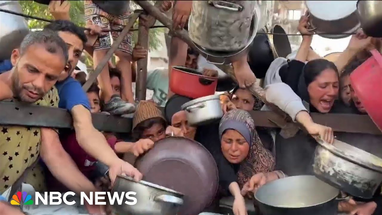 Growing number of children in Gaza dying of malnutrition