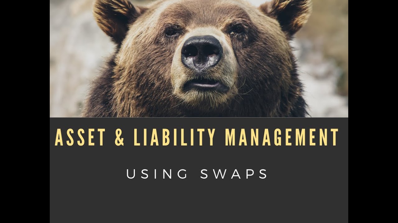 Using an IRS for Asset & Liability Management