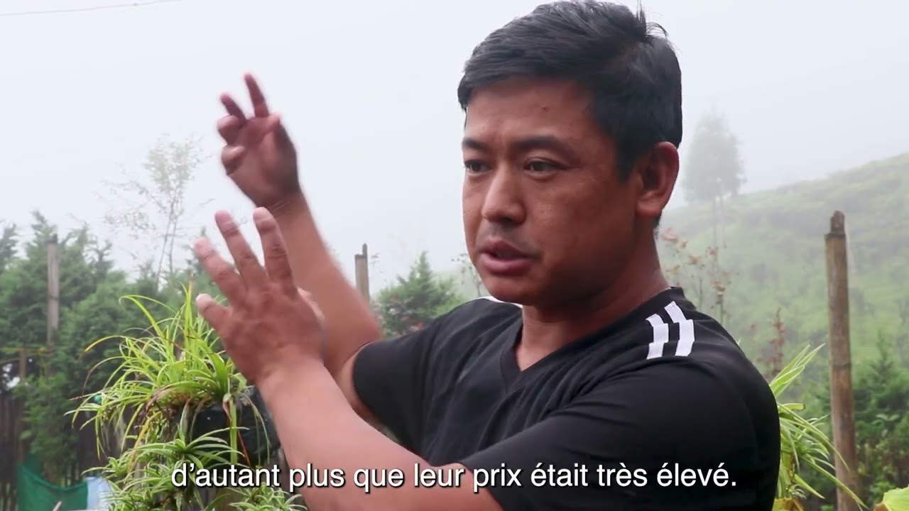 La famille Rai : Au cœur d'une approche globale