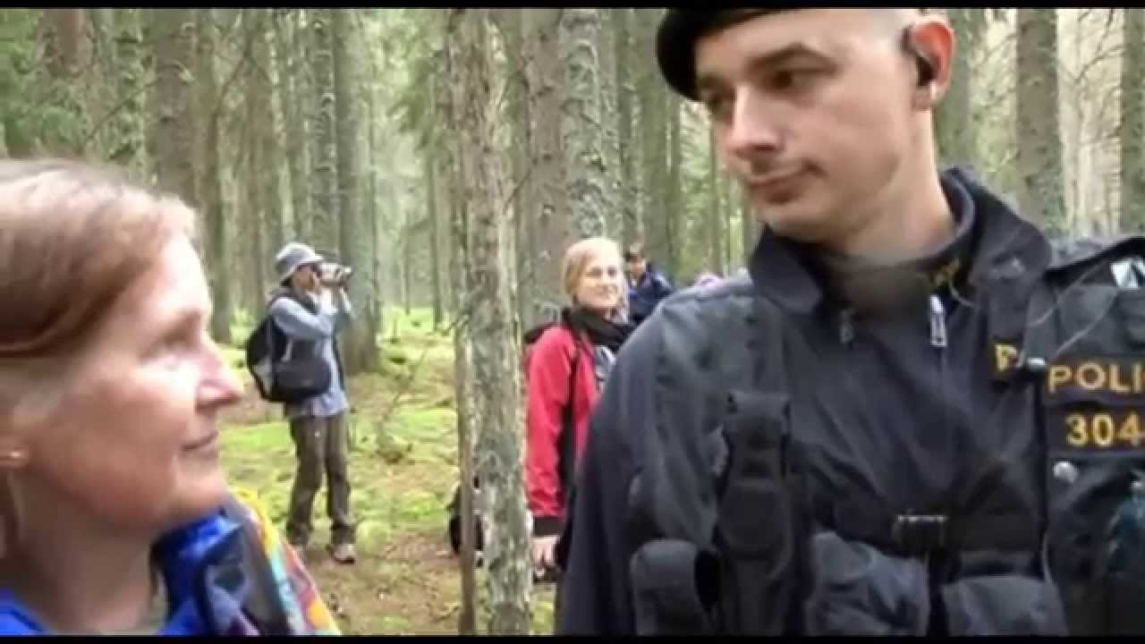 Šumava 2011