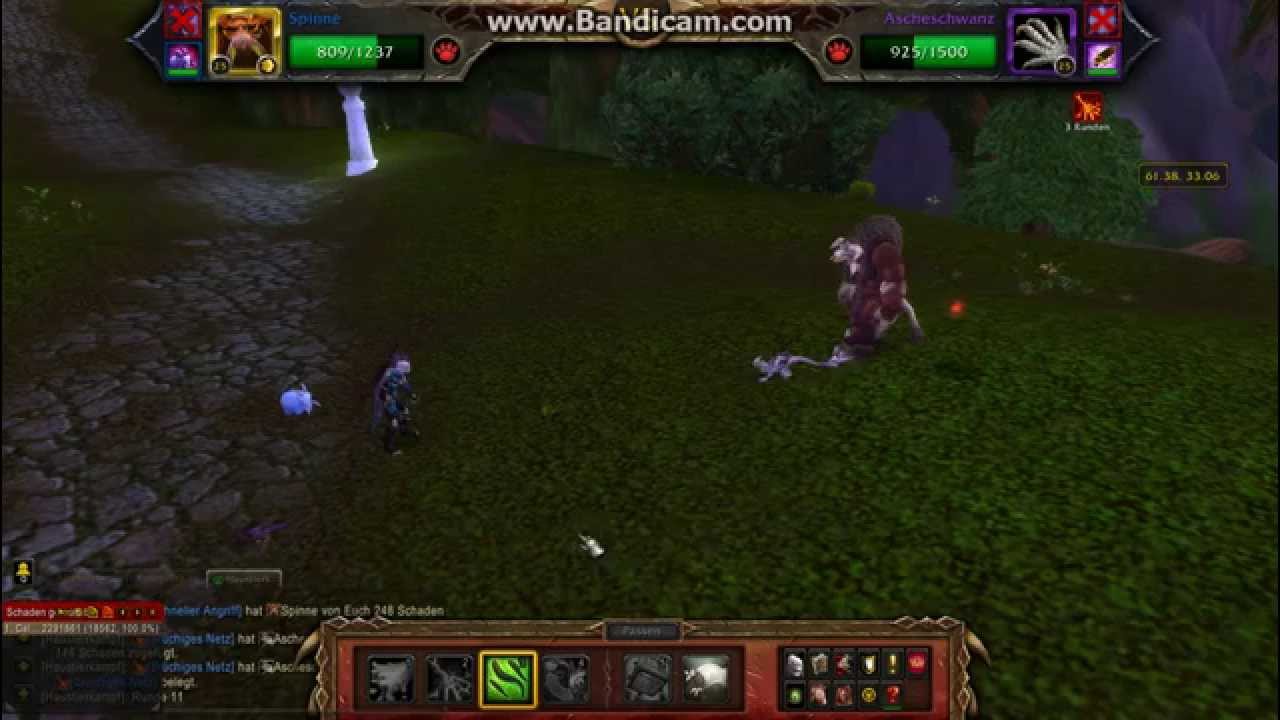 Wow Haustier Guide Brok mit Pl&uuml;schelekk