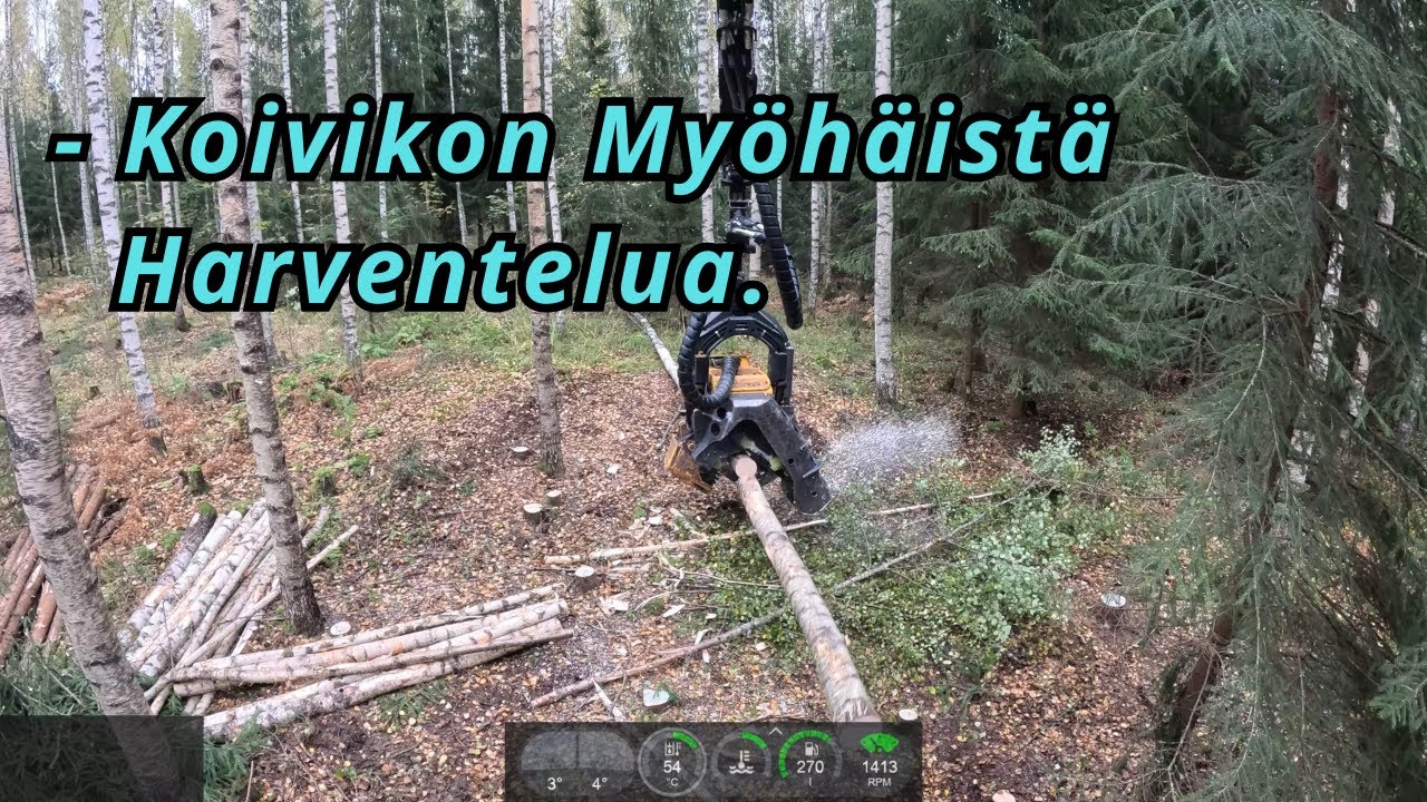Mukavaa Koivikon Harvennusta Perjantain Ratoksi. VR12. Ponsse Scorpion K AC New H7 2025