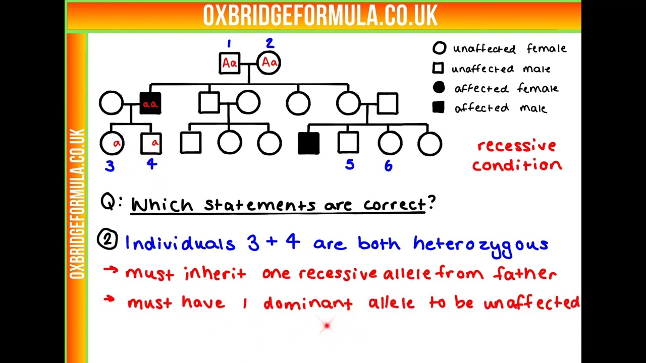 BMAT 2021 Section 2 - Q25 (Bio) - Family Tree.mov - Worked Solution