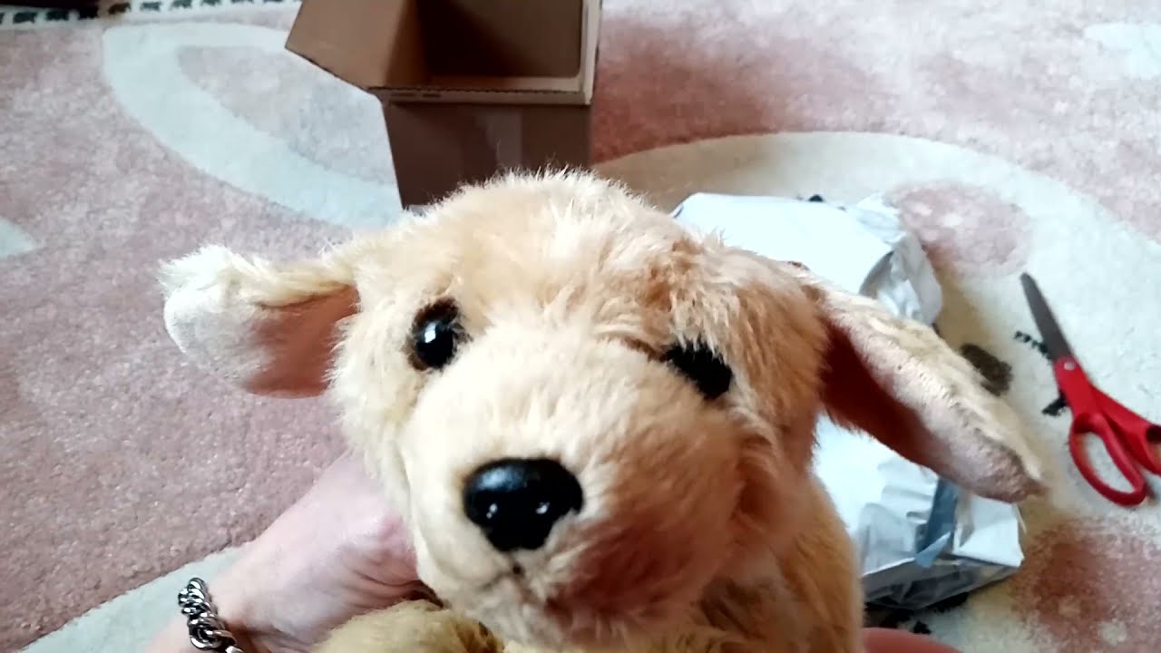 Unboxing Aurora Flopsies Golden Retriever and Calico Cat
