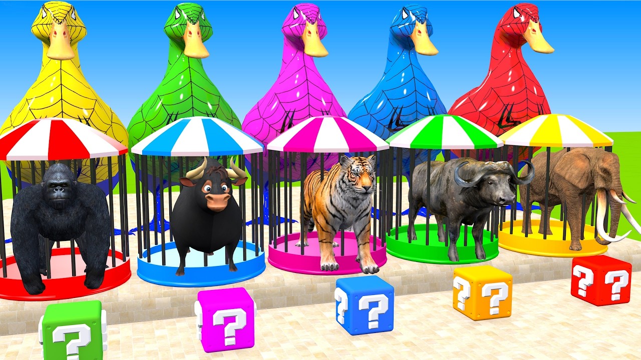 Long Slide Game With Cow Elephant Gorilla Hippopotamus Tiger 3d Animal Game Funny 3d Animals