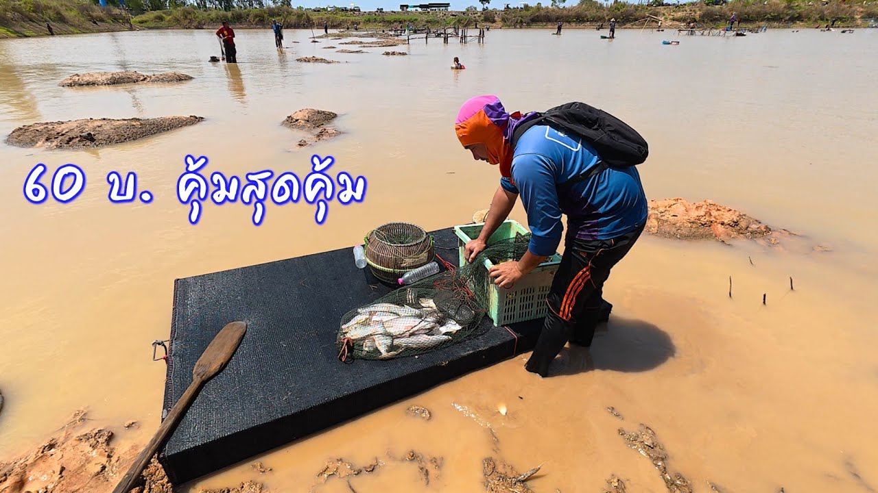หว่านแหลงปลาหนองหวาย คนน้อยแบบนี้สนุกเลย บัตร60บ. คุ้มมาก / ตุ้มแพรว พาเพลิน EP.939