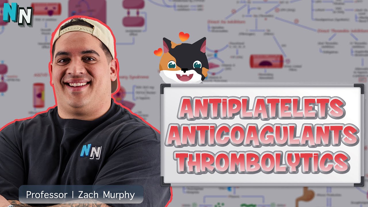 Antiplatelets, Anticoagulants, and Thrombolytics | Clinical Medicine