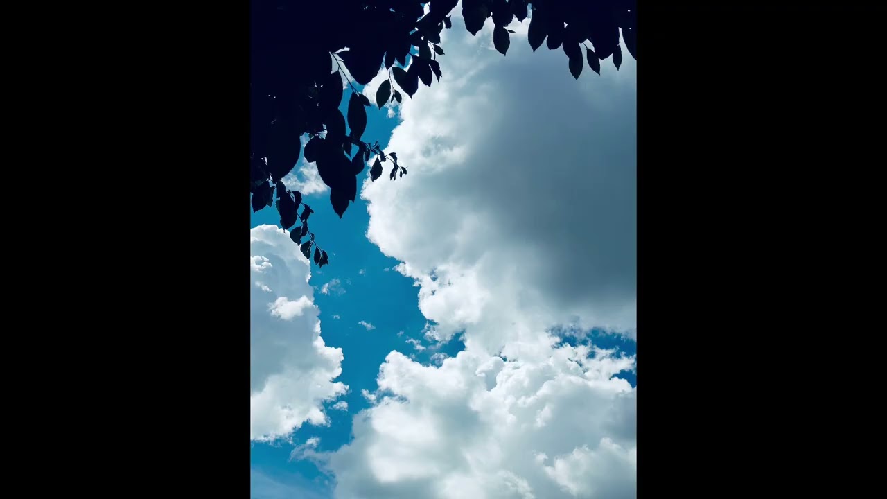 SIMONSAY - ต้องการแค่เพียงเธอ (sped up)