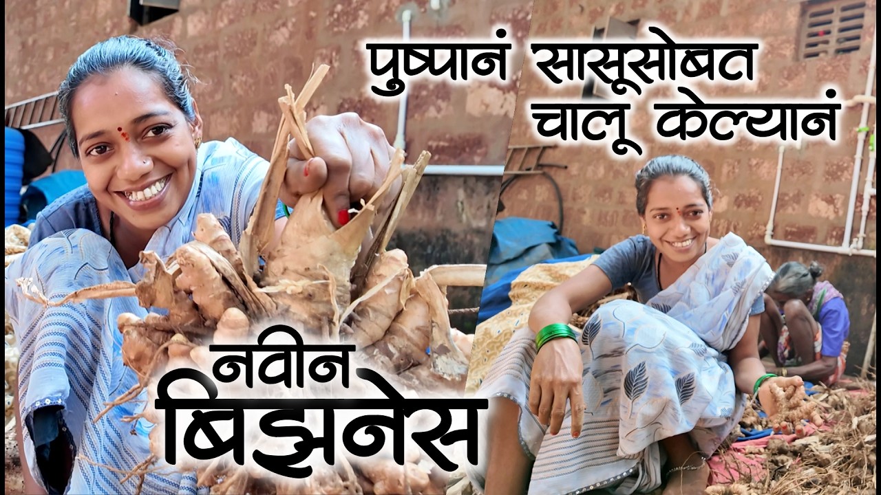 पुष्पाक ईलो अमेरिकेतना फोन नी पुष्पान केल्यांन कामावर जोर😅😅| कोकणातील गावठी हळद #कोकण #शेतकरी #kokan