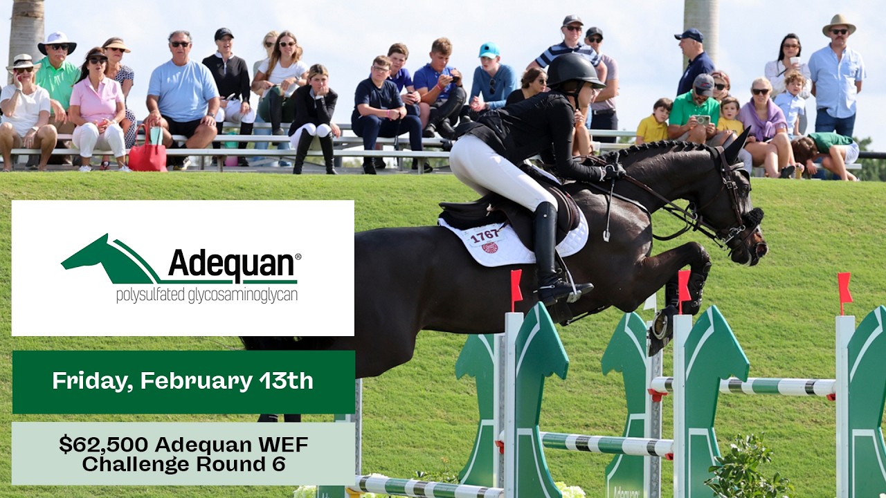 $62,500 Adequan WEF Challenge Cup, Round 6