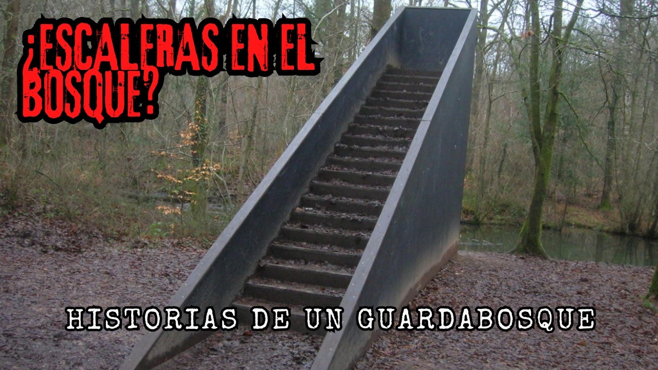 🚨¿Qué OCULTAN los GUARDABOSQUES? | Historias REALES de BÚSQUEDA Y RESCATE en el BOSQUE PT.1| #terror