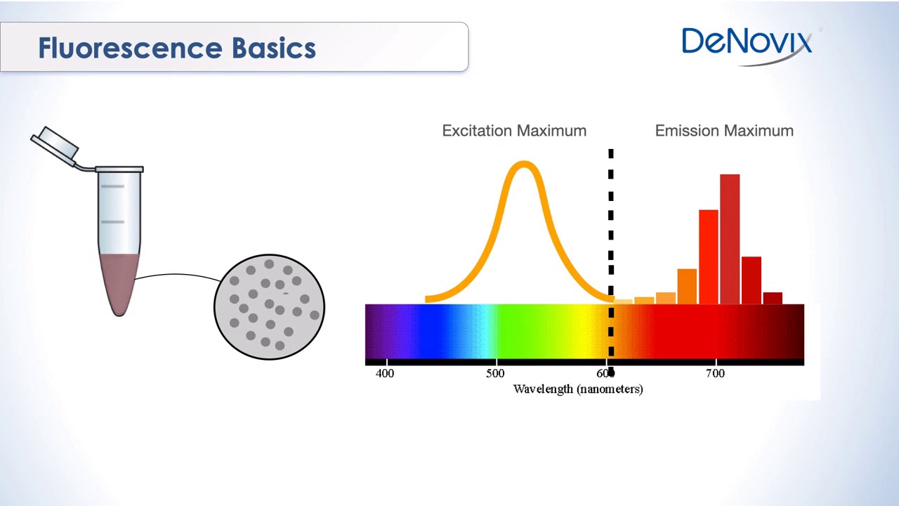 Tips and Tricks | Fluorescence Quantification