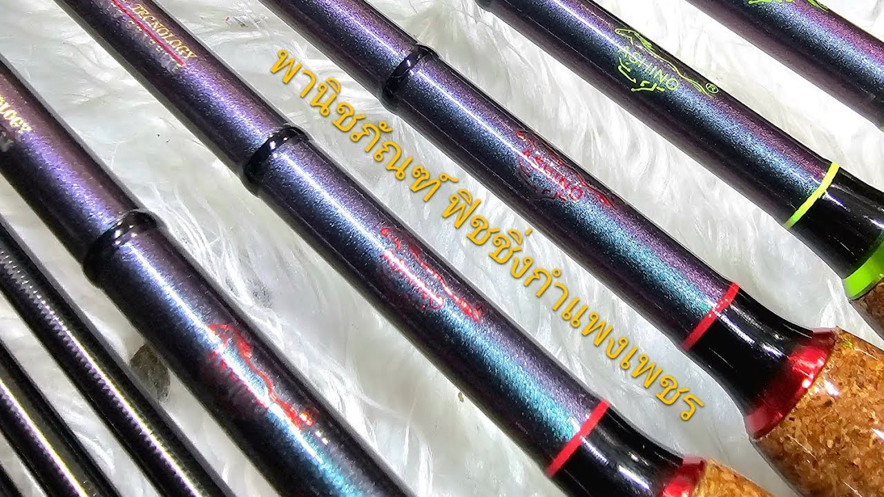 🔥🔥🔥🔥ใหม่ล่าสุด 2025🔥🔥🔥🔥 🐟🐟คันโกล์ด สปาตัน  จากค่ายอาชิโน่🐟🌈🌈🌈ASHINO  GOLD SPARTAN