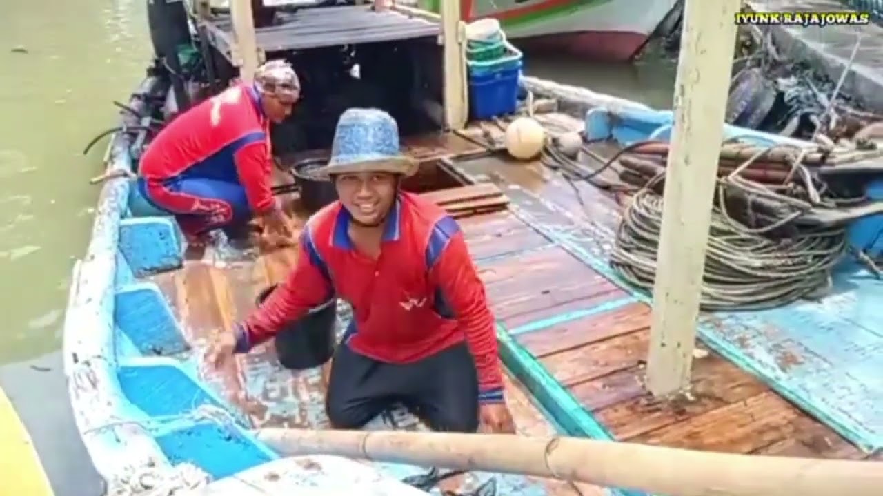 Nelayan Apolo pane udang dan ikan teri