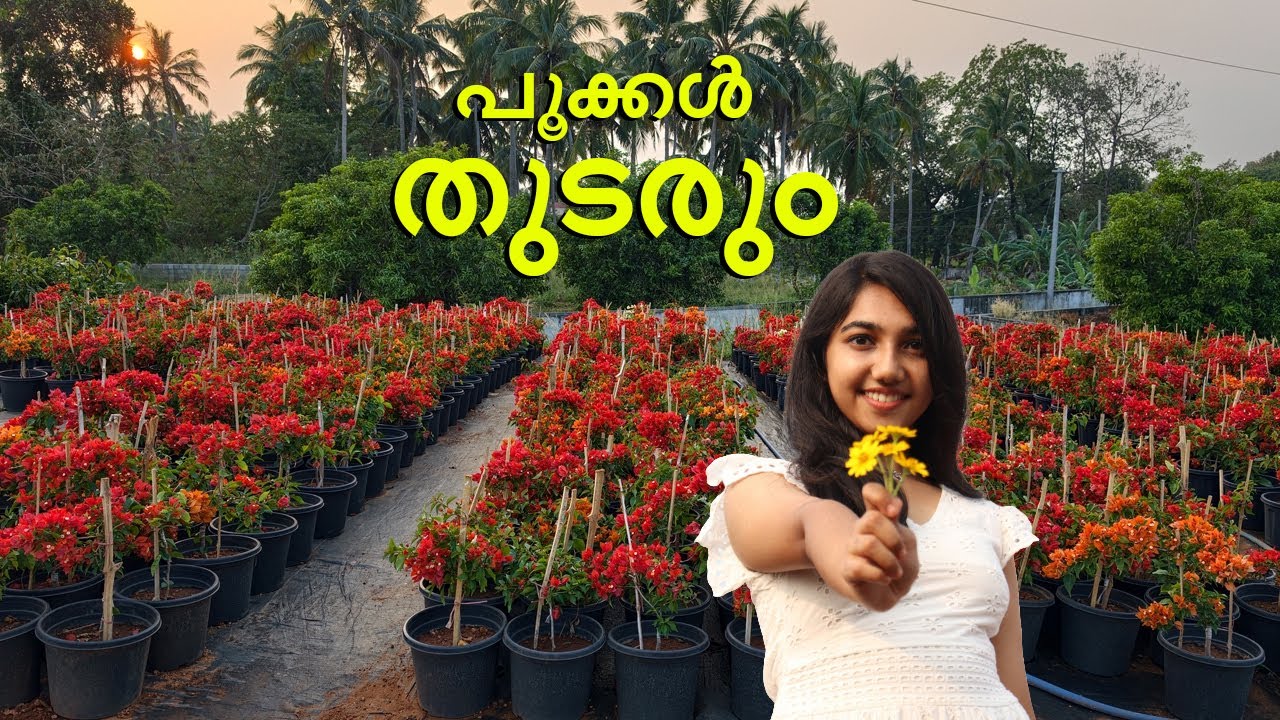 നമ്മൾ ഇതുവരെ കാണാത്ത, കേൾക്കാത്ത ബോഗൈൻവില്ലേയ് വെറൈറ്റികൾ മണ്ണുത്തിയിൽ l 2026 l  Plants world 