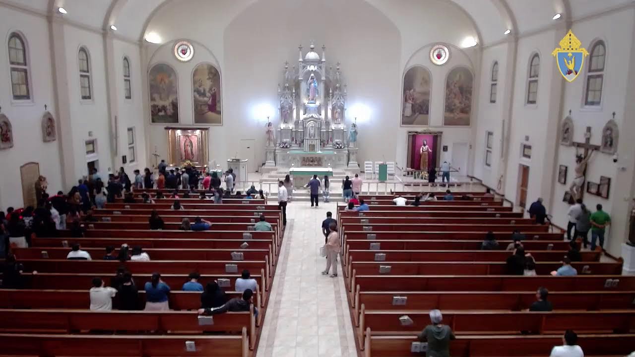 Misa del día