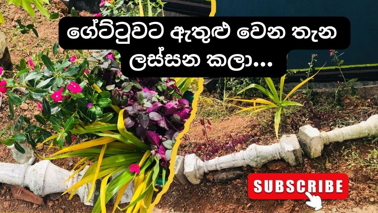 ගේට්ටුව ළඟ ඇතුළුවෙන කොටස හැමෝටම ආසහිතෙන විදියට ලස්සන කරමු | Let's make it beautiful at the gate.