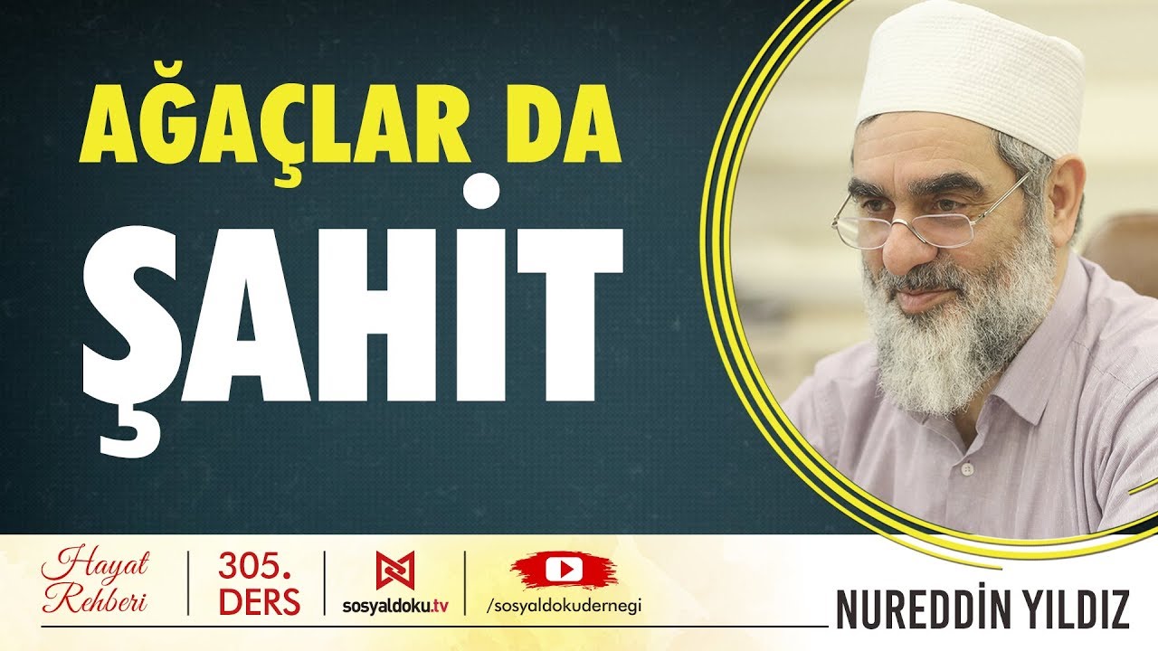 Ağaçlar da Şahit - Hayat Rehberi - Nureddin YILDIZ
