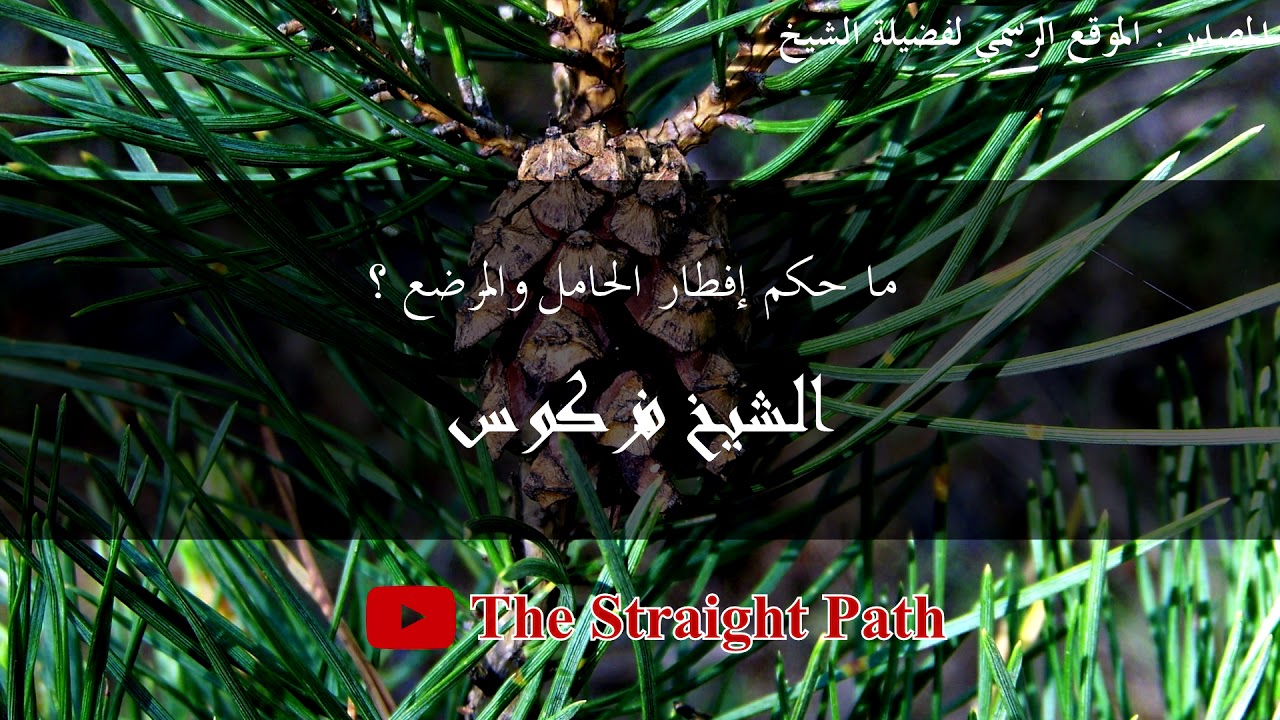 ما حكم إفطار الحامل والمرضع - الشيخ فركوس