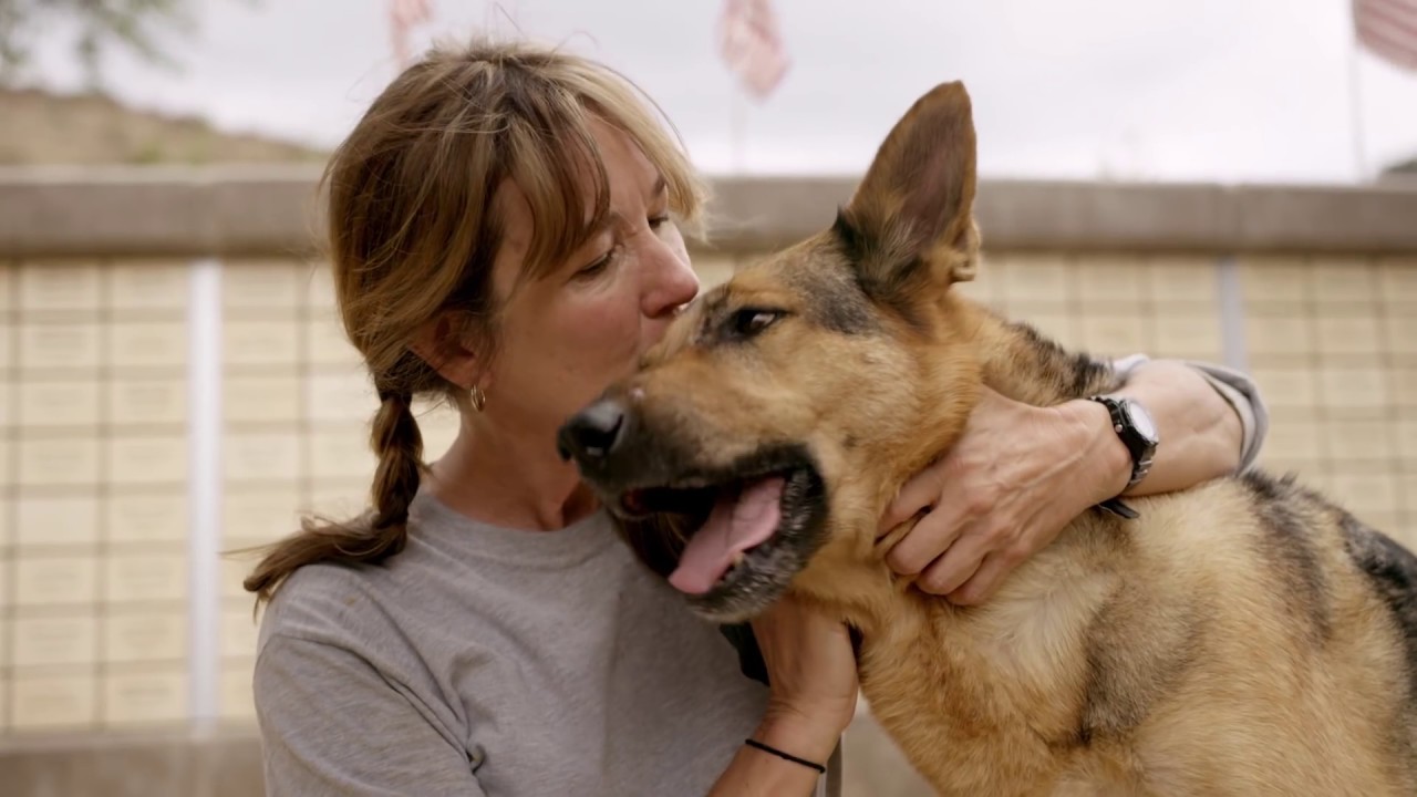 How the Search Dog Foundation Trains Canine Superheroes