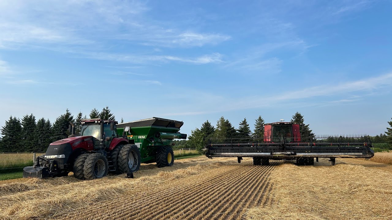 Did the combine work?? | first day of wheat harvest! 