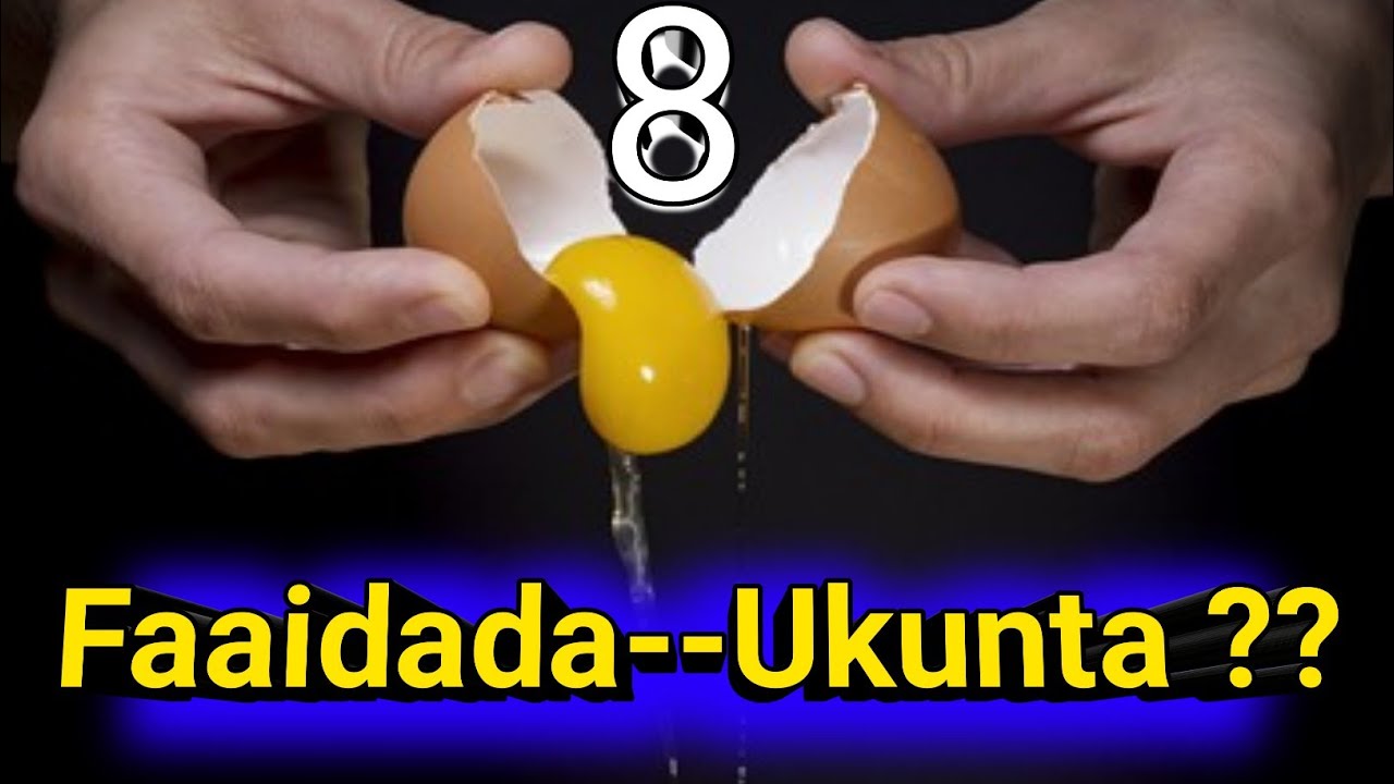 Ukunta Hadii aaa sidaan u isticmaasho maxaa dhacaayo ?????