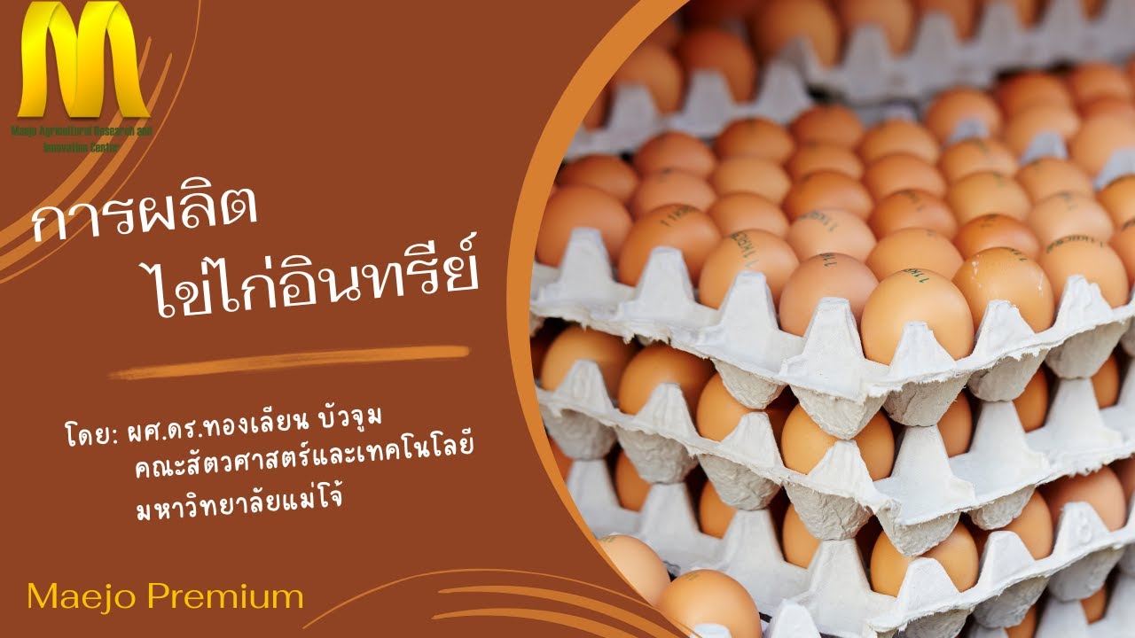 การผลิตไข่ไก่อินทรีย์ : ผศ.ดร.ทองเลียน บัวจูม  คณะสัตวศาสตร์และเทคโนโลยี