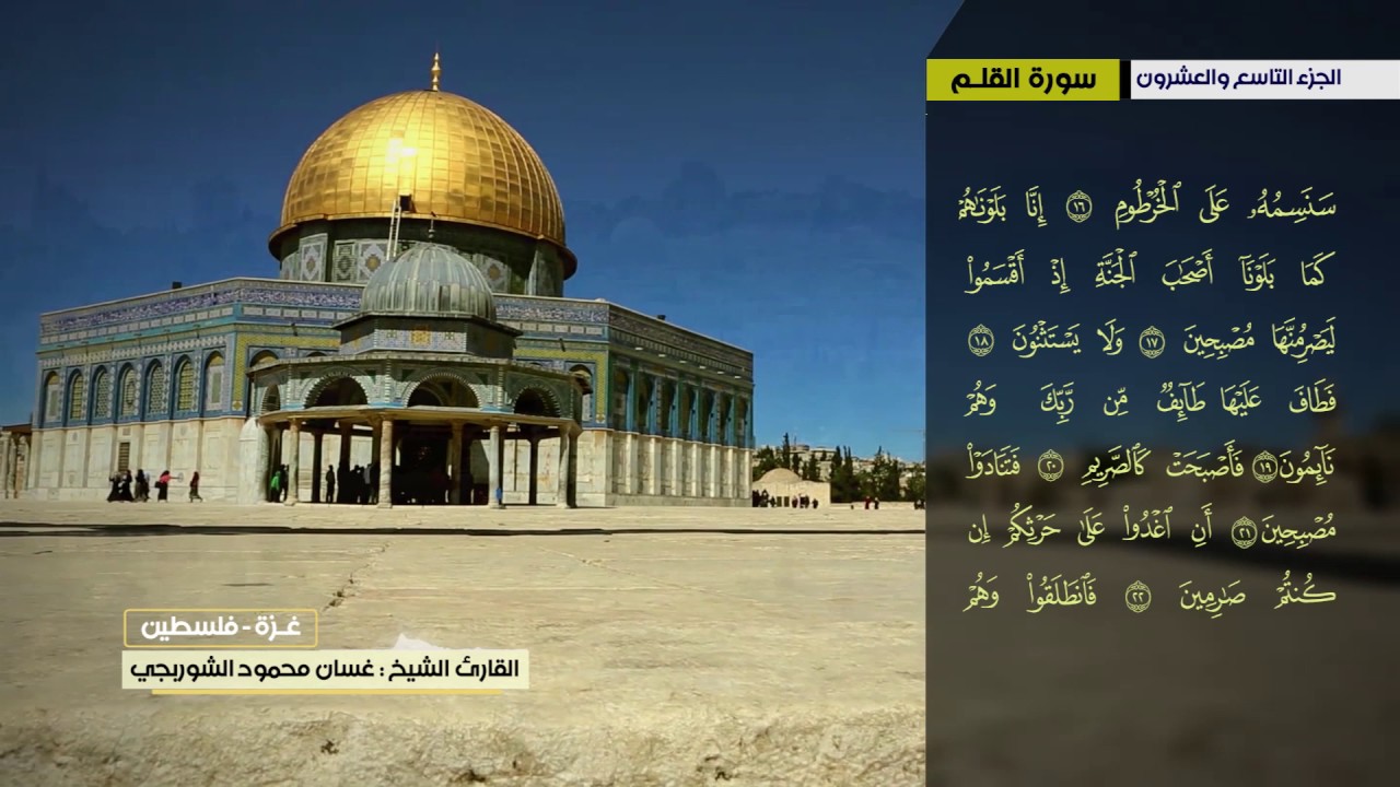 غسان الشوربجي سورة الملك الى سورة المرسلات
