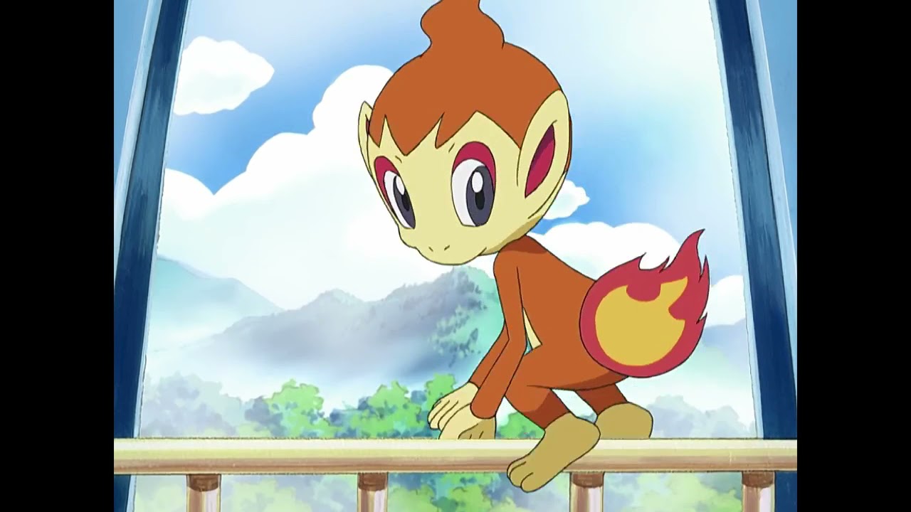 Chimchar and Piplup having a fight while Turtwig eating | Pokemon: Diamond and Pearl Clip