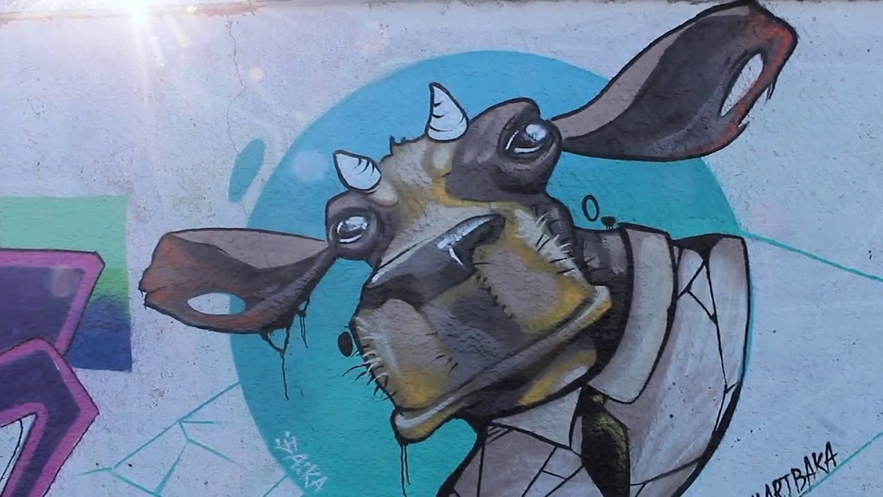 Бака, Tols, граффити в Одессе