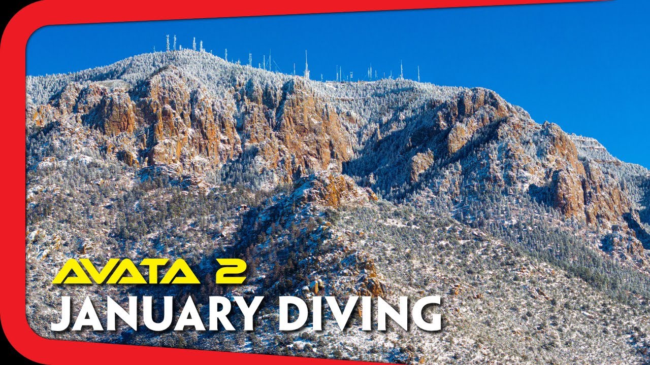 January Diving | Avata 2