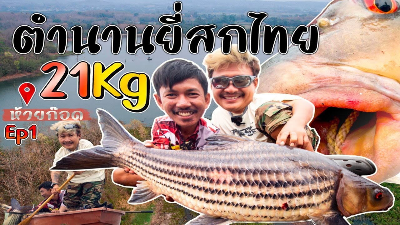 ตำนานยี่สกไทย 21KG ห้วยก๊อด EP.1