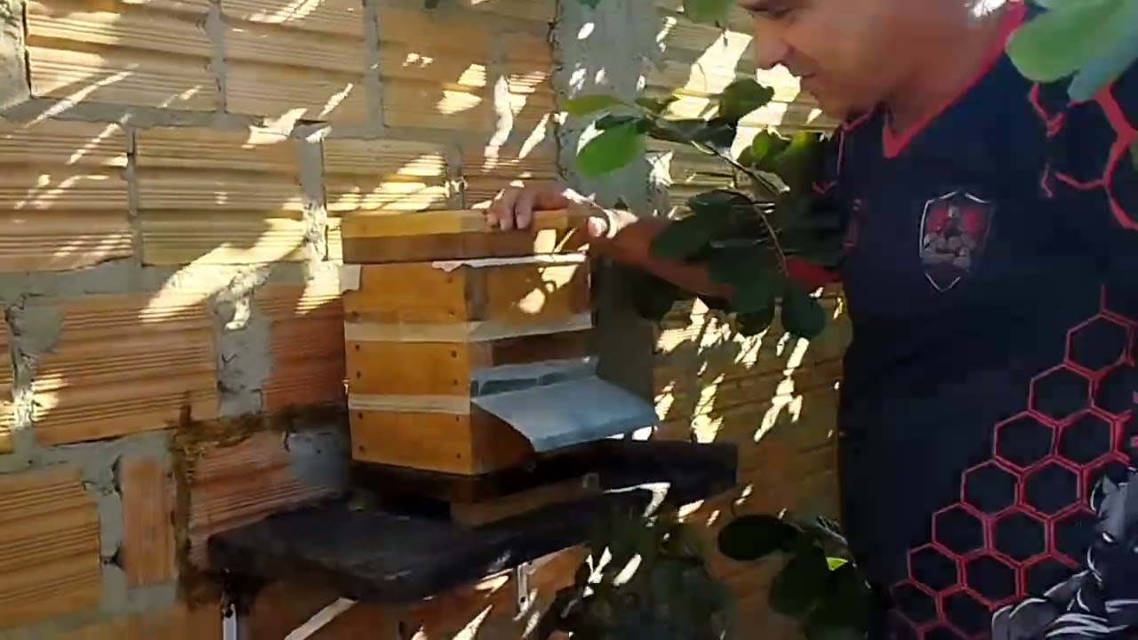 Entrega de col&ocirc;nias para o litoral ga&uacute;cho!🌿🐝🙏🏼