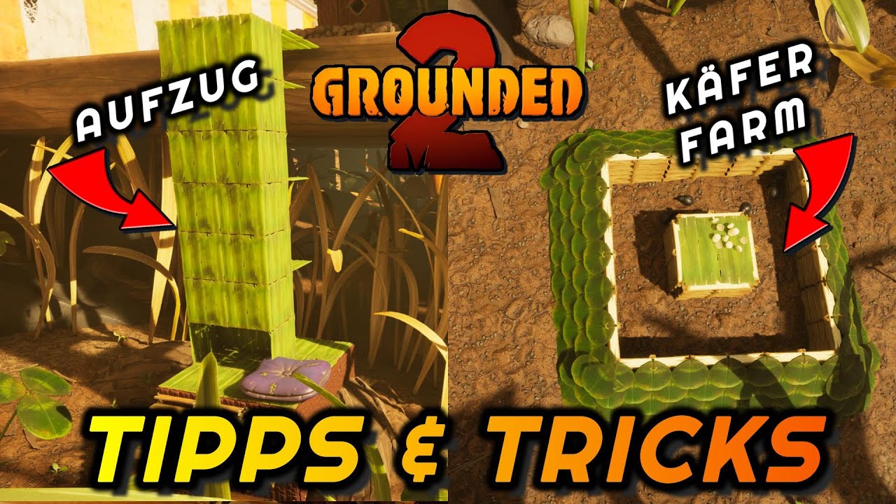 Unendlich Nahrung durch Rüsselkäfer und schnellere Fortbewegung mit dem Aufzug in Grounded 2