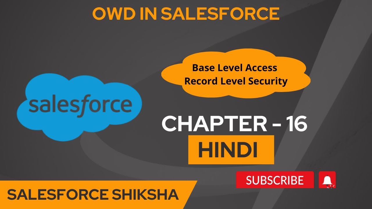 OWD in Salesforce || Record Type Security in Salesforce || Chapter 16 [Hindi]