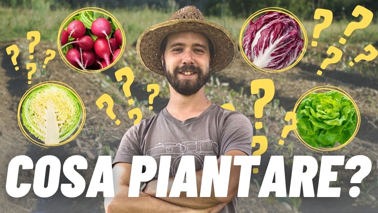 Orto di ottobre: ecco cosa coltivare SUBITO (prima che sia tardi!)