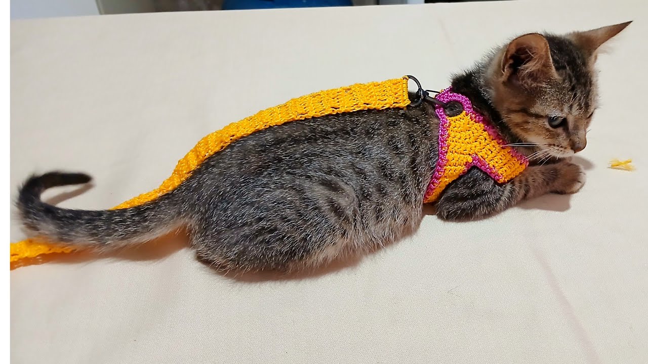  peitoral de crochê para cães e gatos 